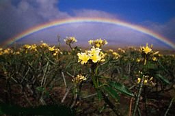 arc en ciel